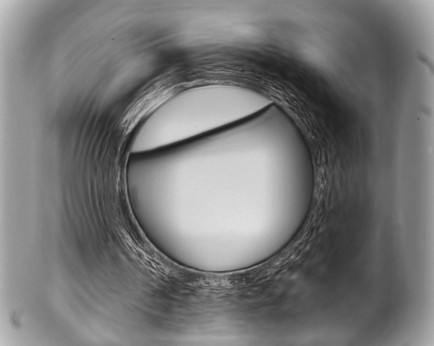 X0000101420194200807071039