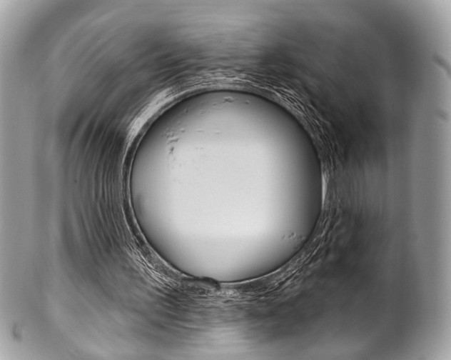 X0000101420195200807071039