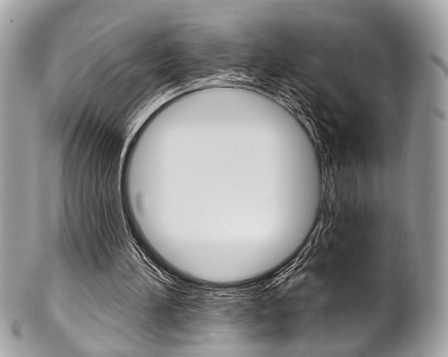 X0000101420196200807071039