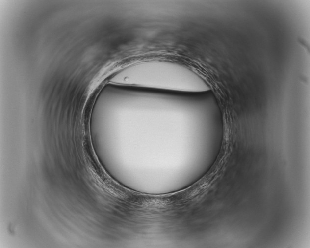 X0000101420198200807071039