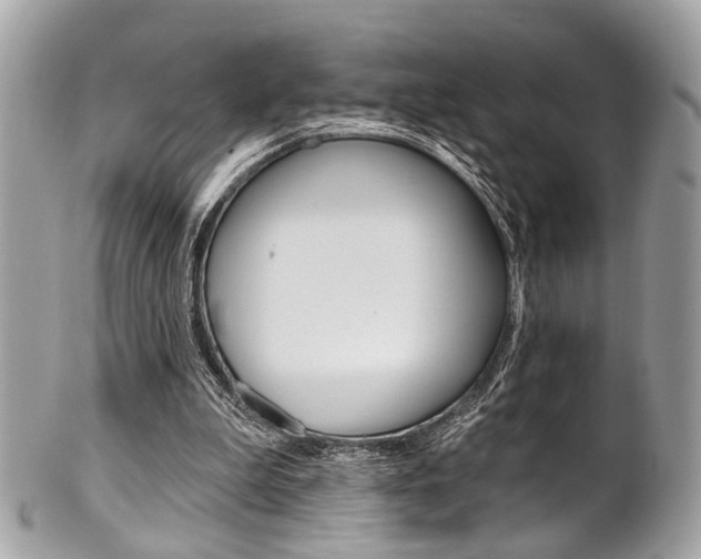X0000101420199200807071039