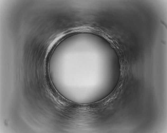 X0000101420200200807071039