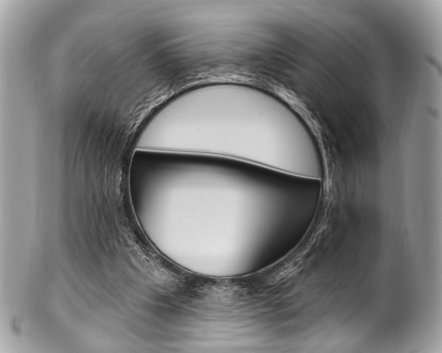 X0000101420201200807071039