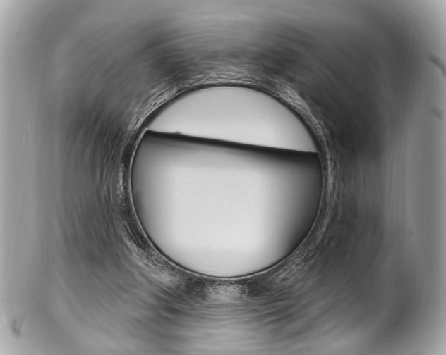 X0000101420202200807071039