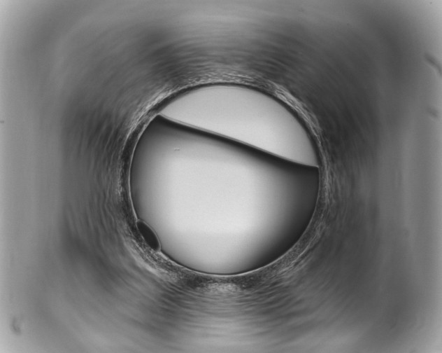 X0000101420203200807071039
