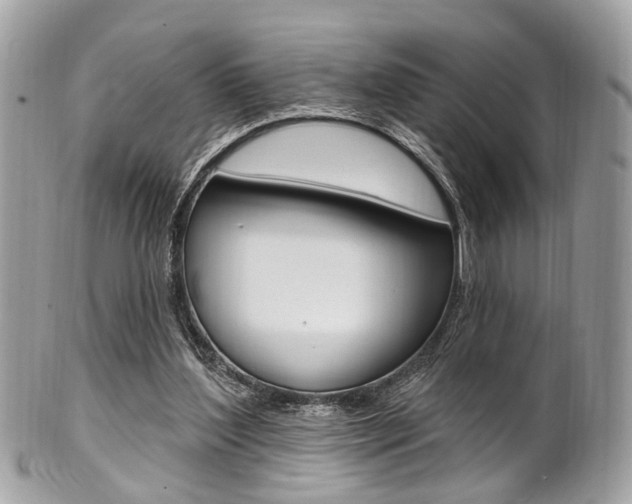 X0000101420204200807071039