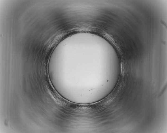 X0000101420205200807071039