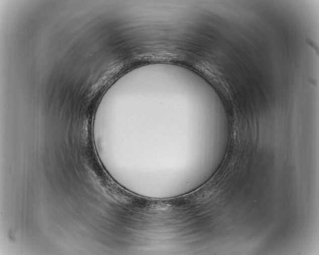 X0000101420206200807071039