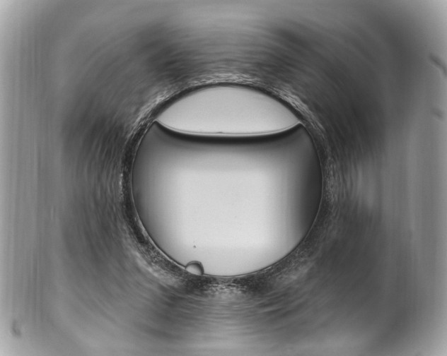 X0000101420207200807071039