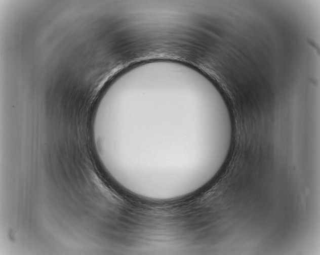 X0000101420208200807071039