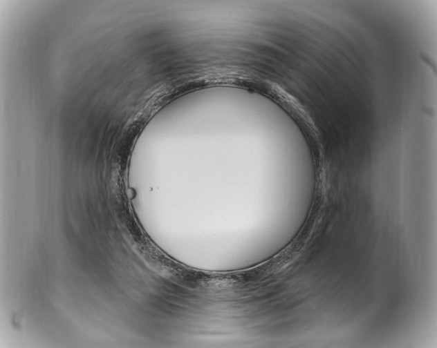 X0000101420209200807071039