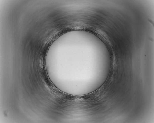 X0000101420210200807071039