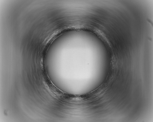 X0000101420212200807071039