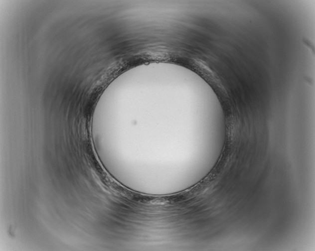 X0000101420213200807071039