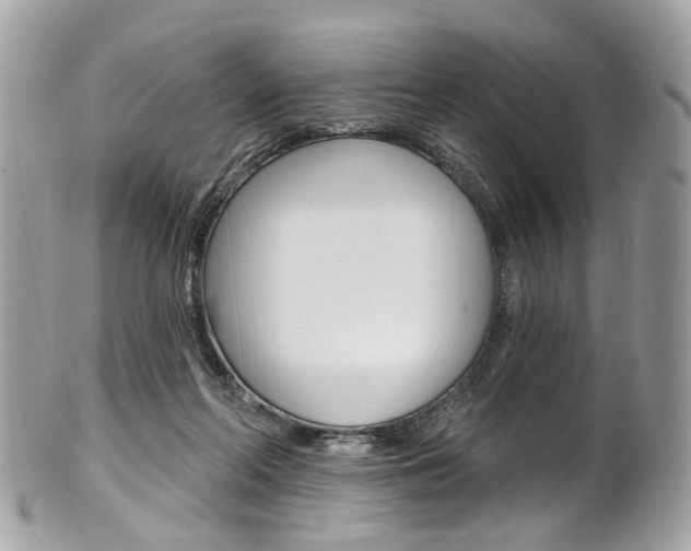 X0000101420214200807071039