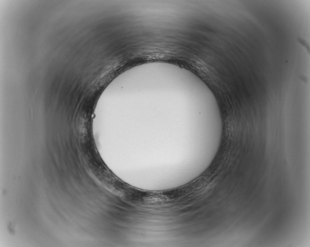 X0000101420215200807071039