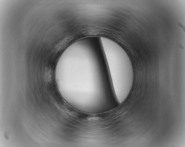X0000101420216200807071039