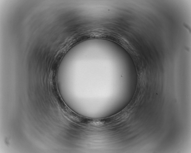 X0000101420217200807071039