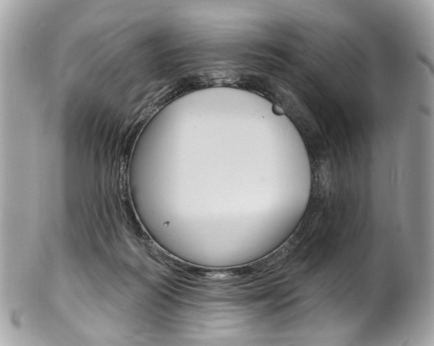 X0000101420218200807071039