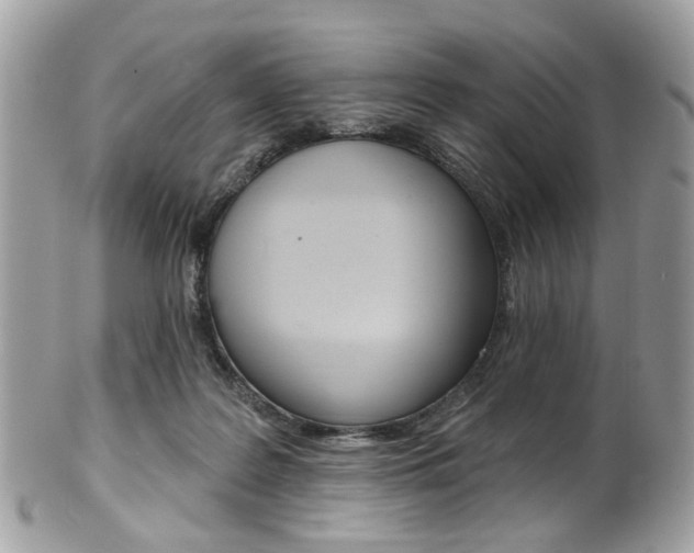X0000101420219200807071039