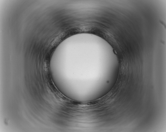 X0000101420220200807071039