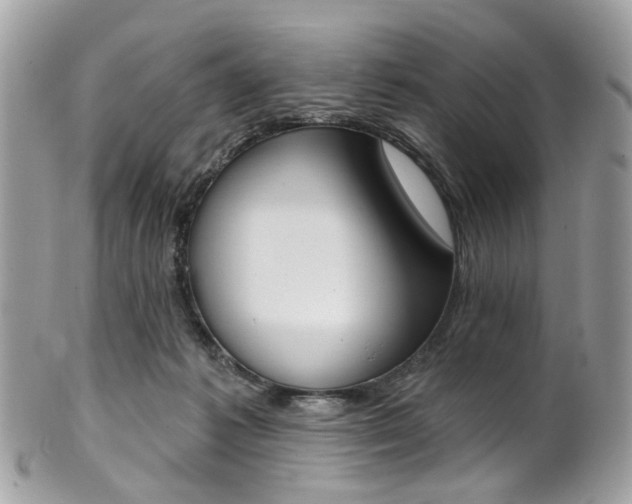X0000101420221200807071039
