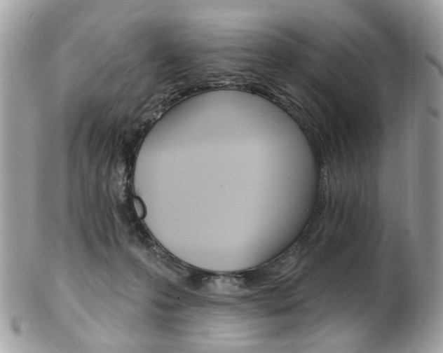 X0000101420223200807071039