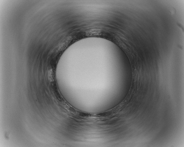 X0000101420224200807071039