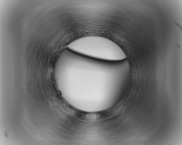 X0000101420225200807071039