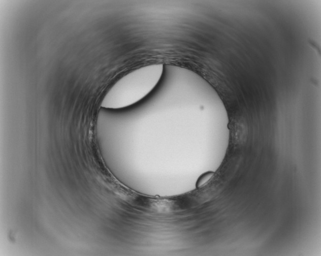 X0000101420226200807071039
