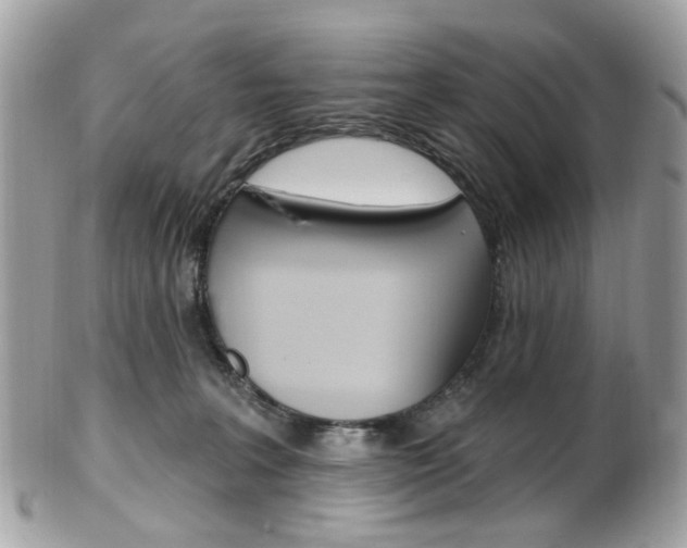 X0000101420227200807071039