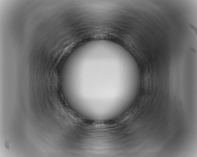 X0000101420228200807071038
