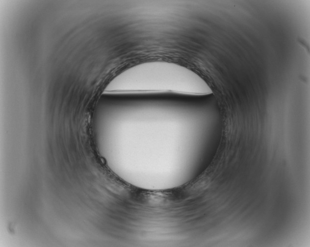 X0000101420229200807071038