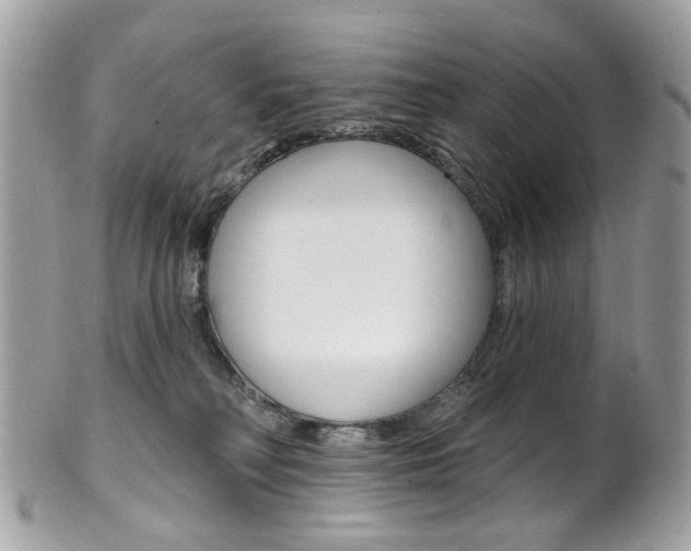 X0000101420230200807071038