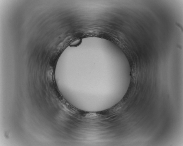X0000101420231200807071038