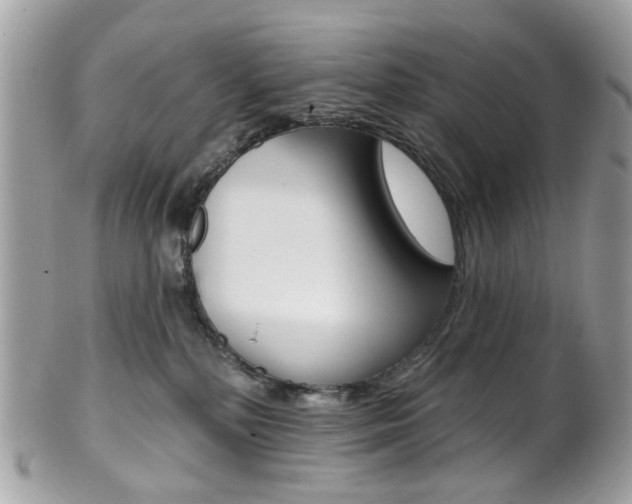 X0000101420232200807071038