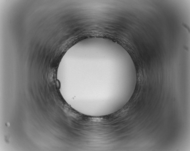 X0000101420233200807071038