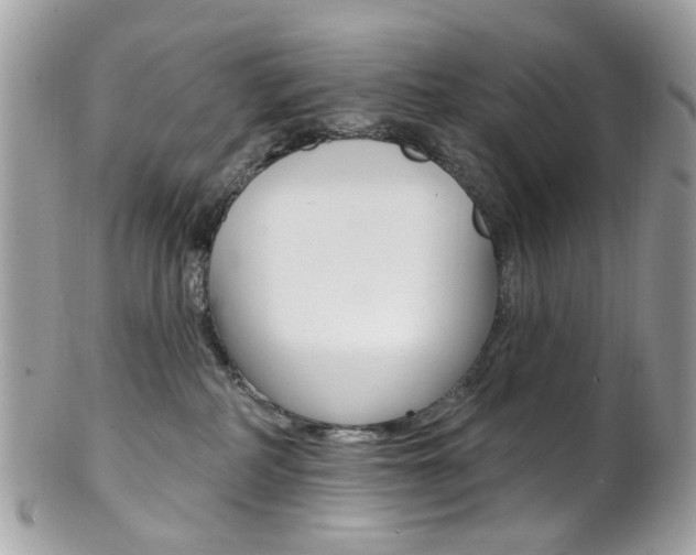 X0000101420234200807071038