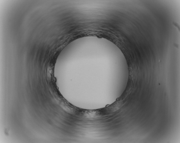 X0000101420235200807071038