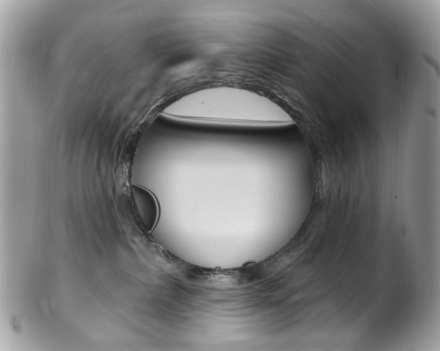 X0000101420236200807071038