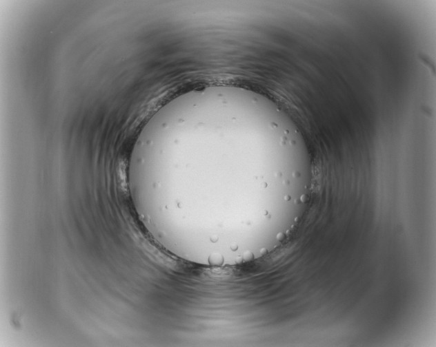 X0000101420238200807071038