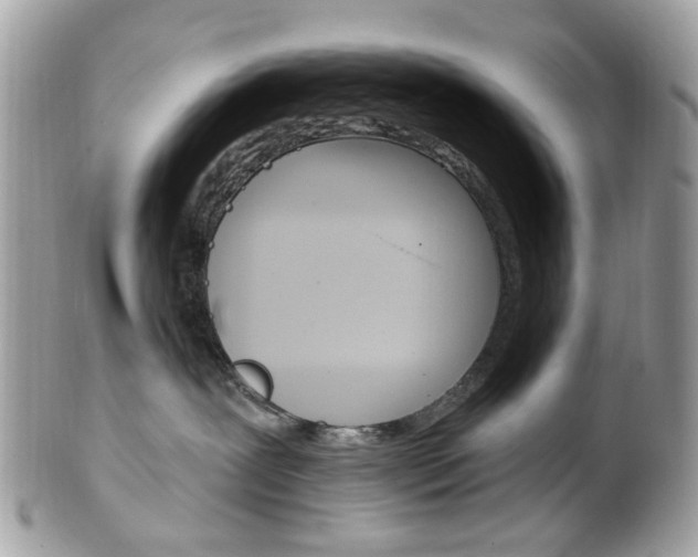 X0000101420239200807071038