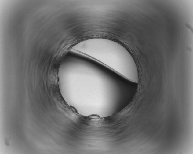 X0000101420240200807071038
