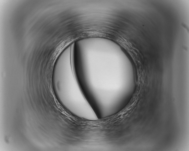 X0000101420241200807071038