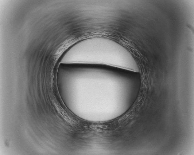 X0000101420242200807071038