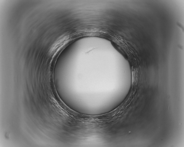 X0000101420243200807071038