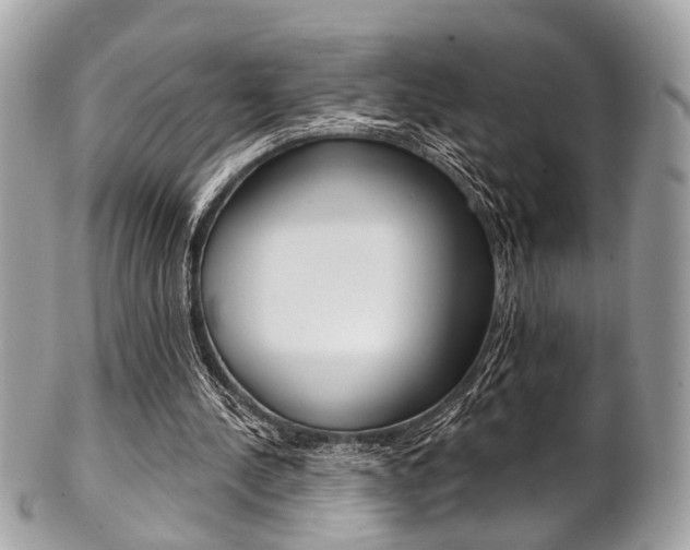 X0000101420244200807071038