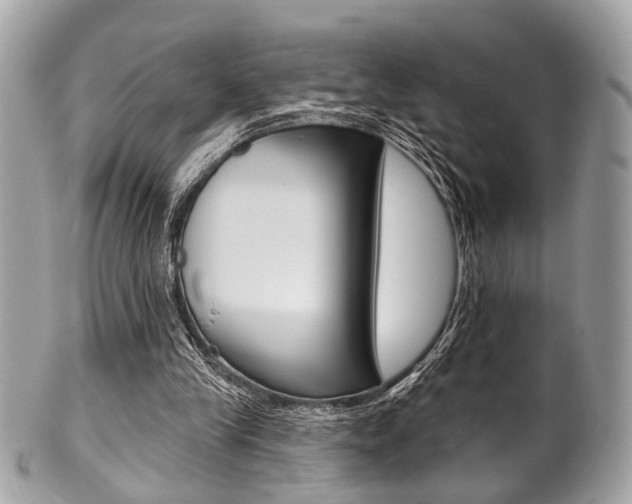X0000101420245200807071038
