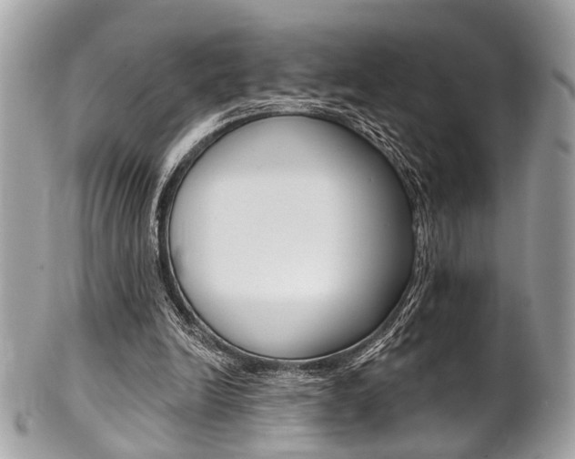 X0000101420246200807071038