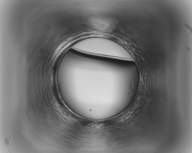 X0000101420247200807071038